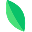 icon of kvitly