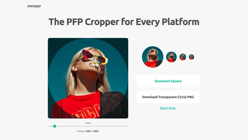 image of PFP Cropper image of PFP Cropper