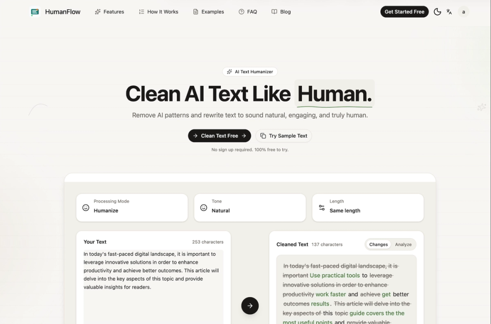 image of HumanFlow AI Text Cleaner