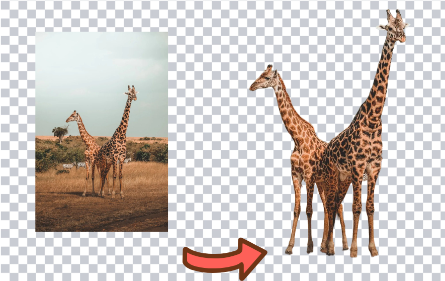 image of RMBG AI image of RMBG AI